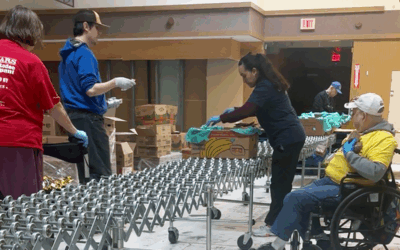 Building Skills Through Community Volunteering